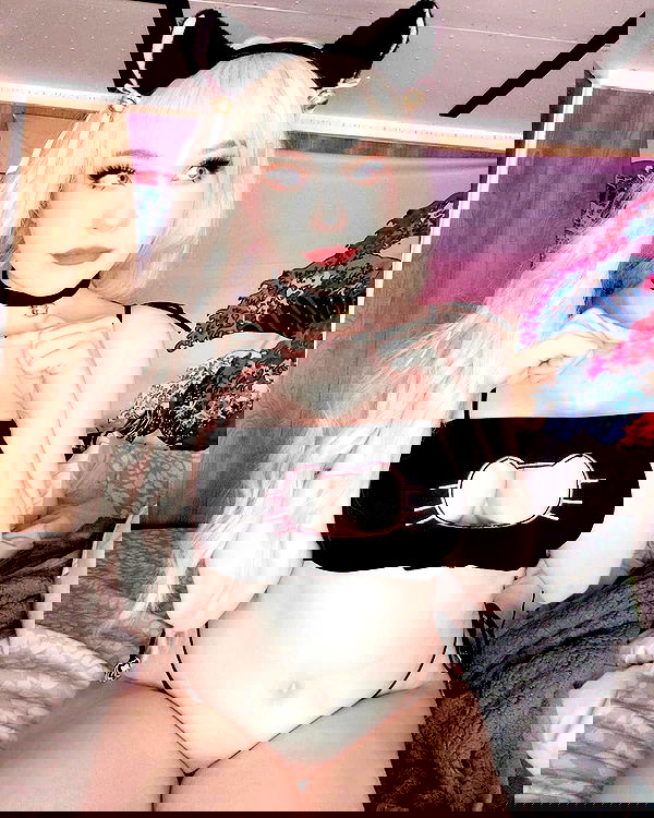 nixxi.cat nixxi.cat archive image