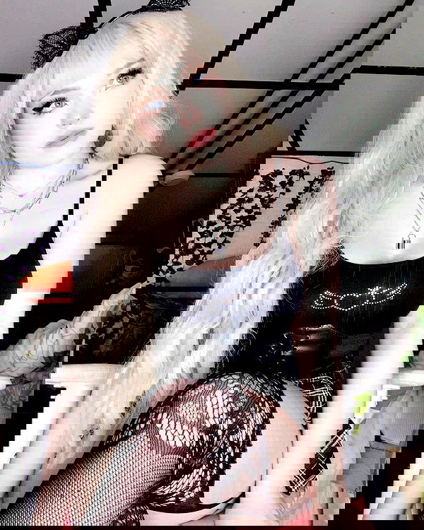 nixxi.cat nixxi.cat archive image