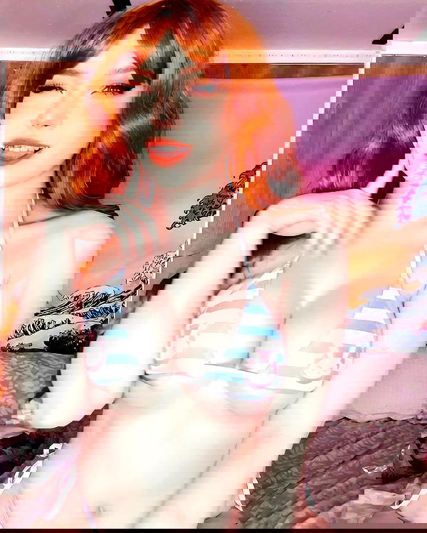 nixxi.cat nixxi.cat archive image