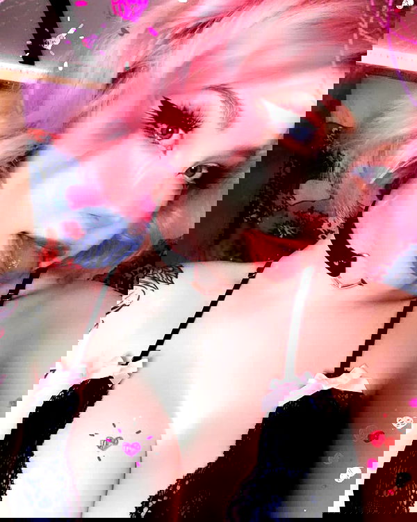 nixxi.cat nixxi.cat archive image