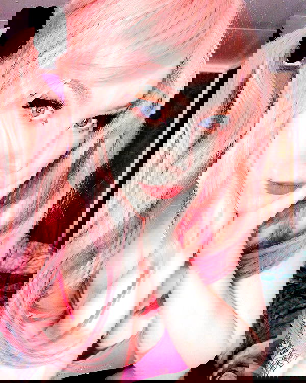 nixxi.cat nixxi.cat archive image