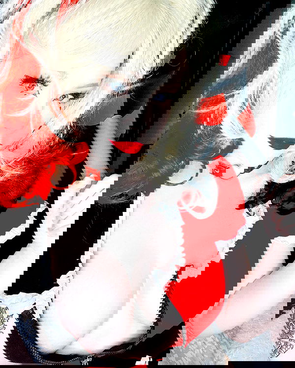 nixxi.cat nixxi.cat archive image