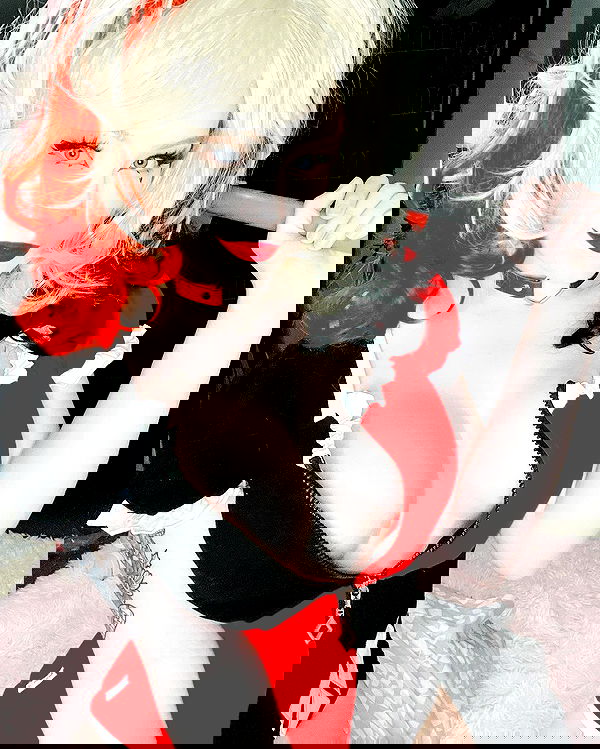 nixxi.cat nixxi.cat archive image