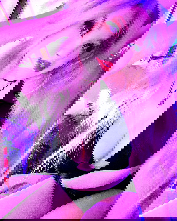 nixxi.cat nixxi.cat archive image