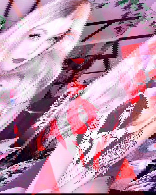 nixxi.cat nixxi.cat archive image