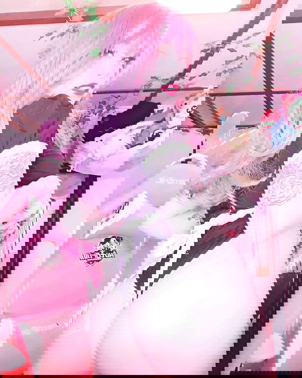 nixxi.cat nixxi.cat archive image