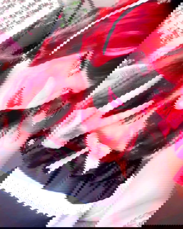 nixxi.cat nixxi.cat archive image