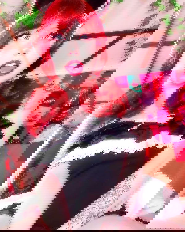 nixxi.cat nixxi.cat archive image