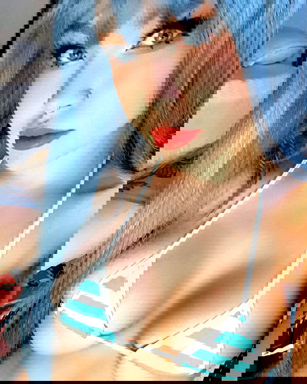 nixxi.cat nixxi.cat archive image