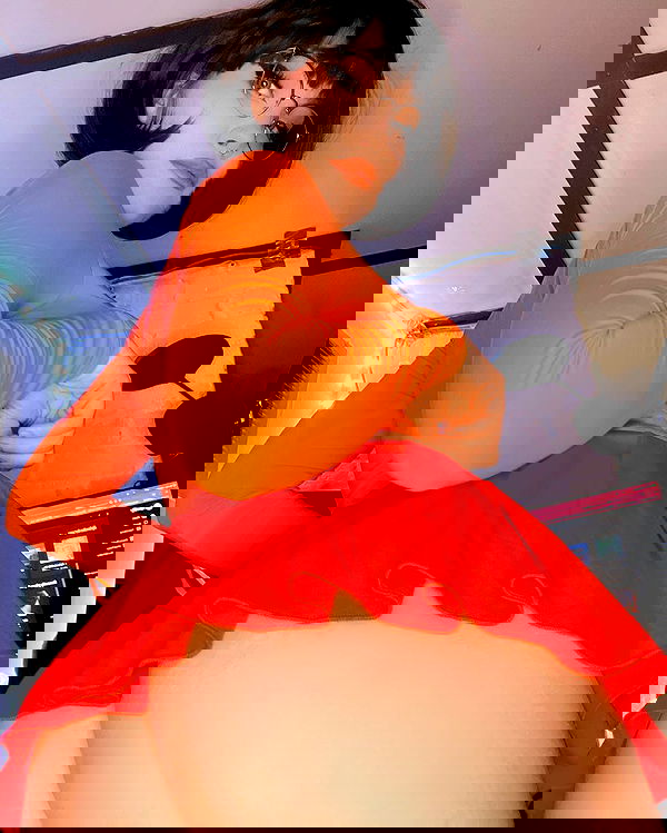 nixxi.cat nixxi.cat archive image