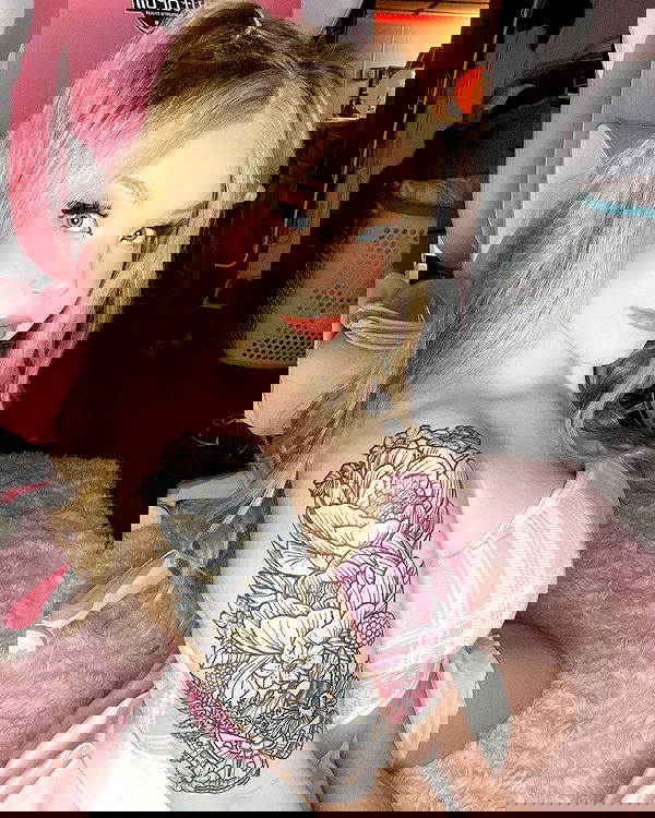 nixxi.cat nixxi.cat archive image