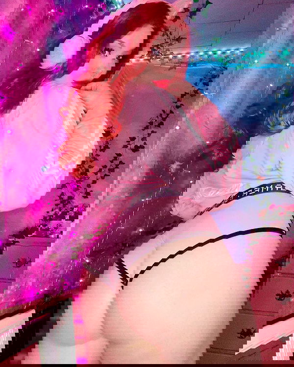 nixxi.cat nixxi.cat archive image