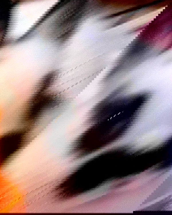 nixxi.cat nixxi.cat archive image