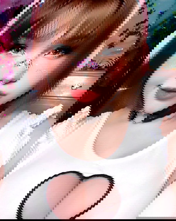 nixxi.cat nixxi.cat archive image