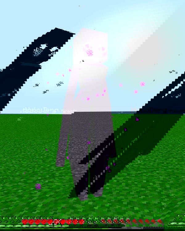 nixxi.cat nixxi.cat archive image