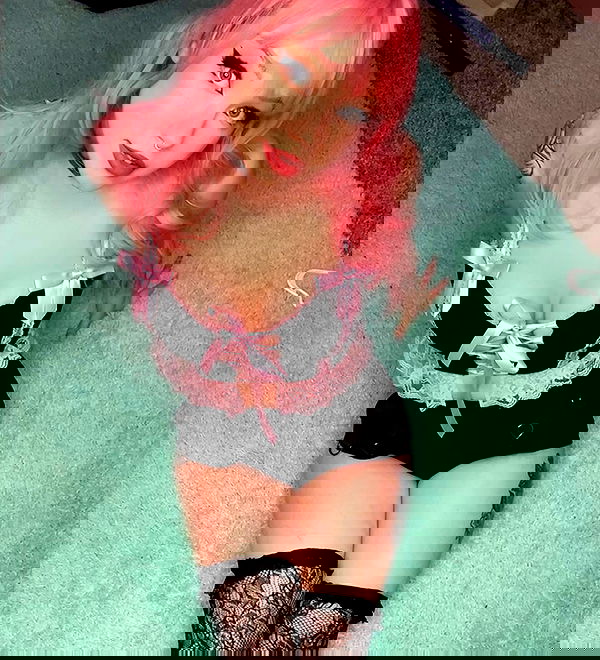 nixxi.cat nixxi.cat archive image