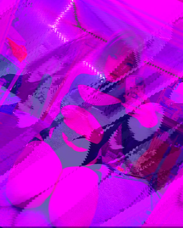 nixxi.cat nixxi.cat archive image