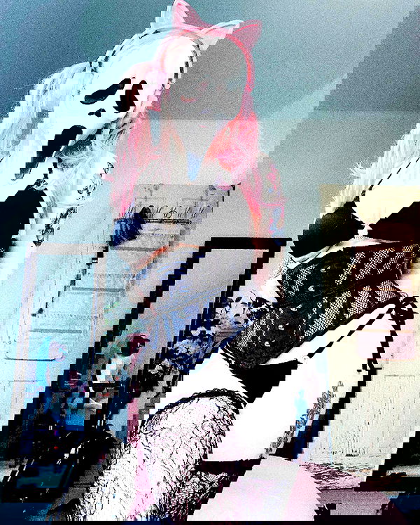 nixxi.cat nixxi.cat archive image