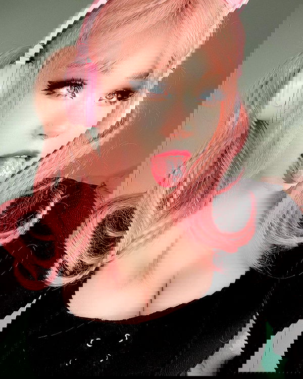 nixxi.cat nixxi.cat archive image