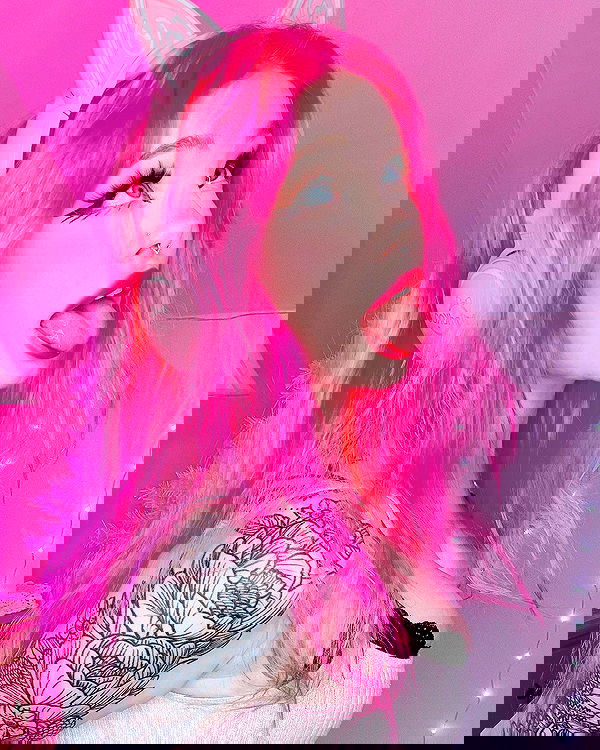 nixxi.cat nixxi.cat archive image