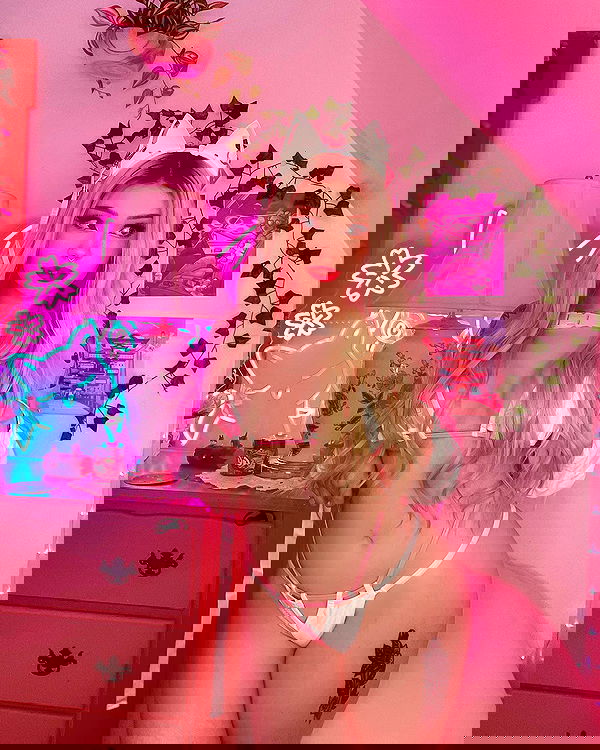 nixxi.cat nixxi.cat archive image