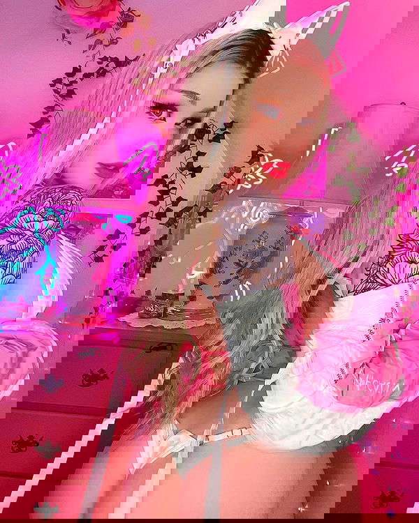 nixxi.cat nixxi.cat archive image