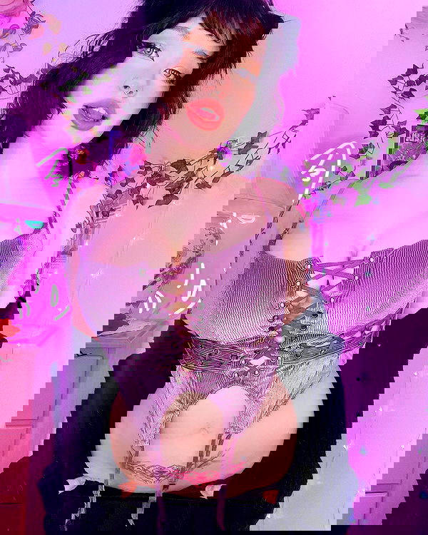 nixxi.cat nixxi.cat archive image