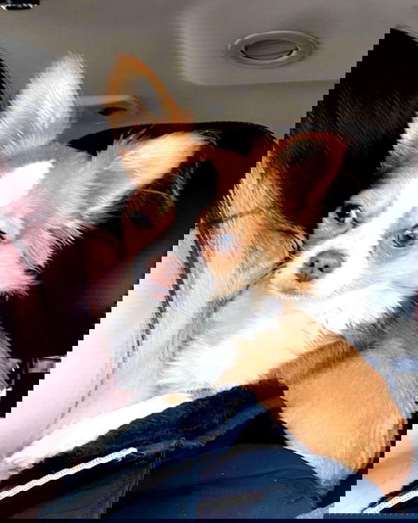 nixxi.cat nixxi.cat archive image