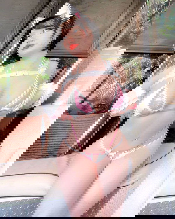 nixxi.cat nixxi.cat archive image