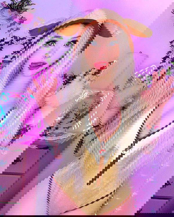 nixxi.cat nixxi.cat archive image