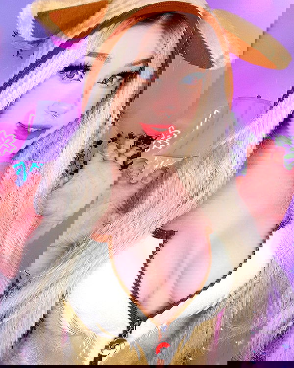 nixxi.cat nixxi.cat archive image