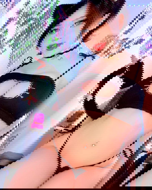 nixxi.cat nixxi.cat archive image