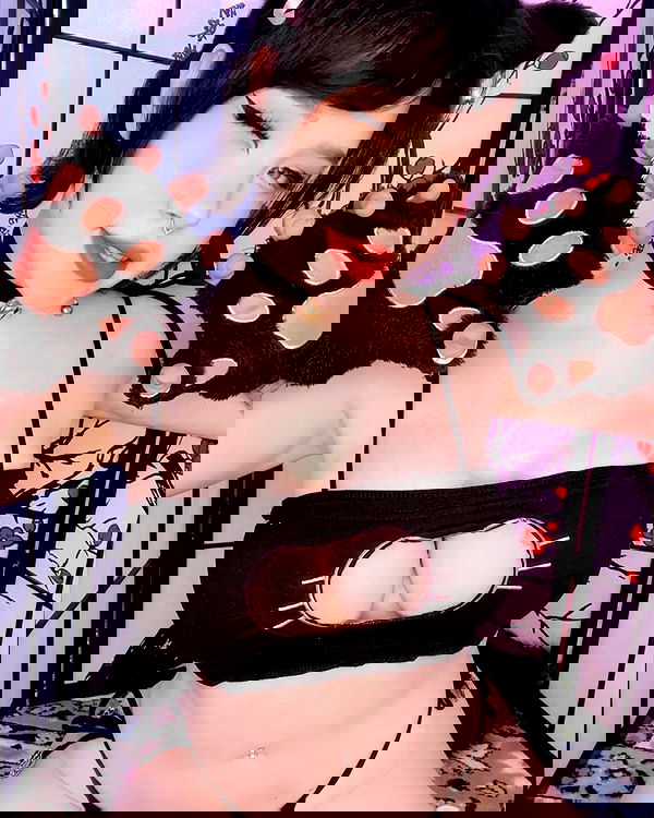 nixxi.cat nixxi.cat archive image