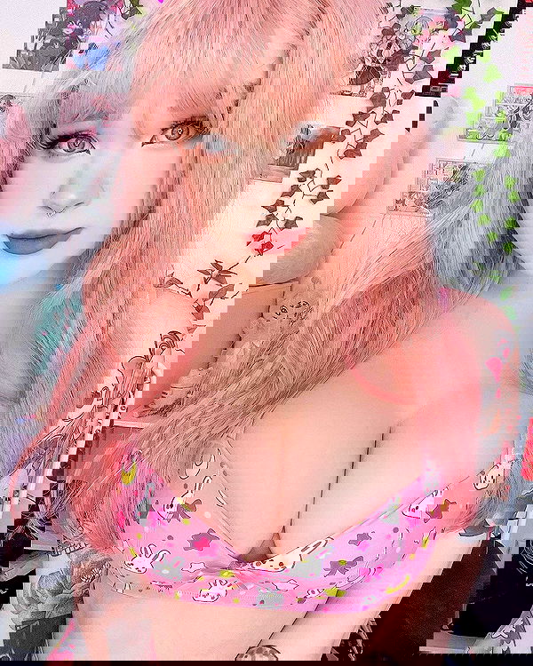 nixxi.cat nixxi.cat archive image