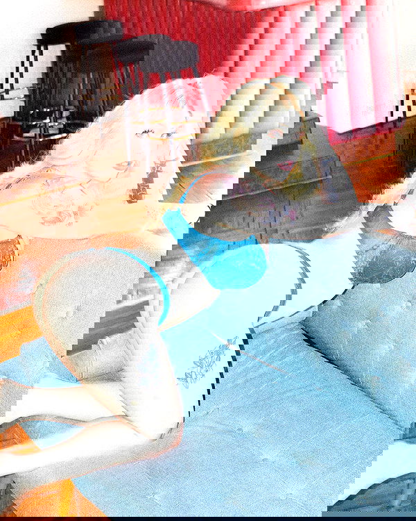 nixxi.cat nixxi.cat archive image