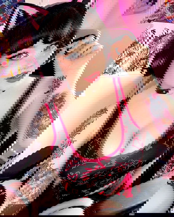 nixxi.cat nixxi.cat archive image