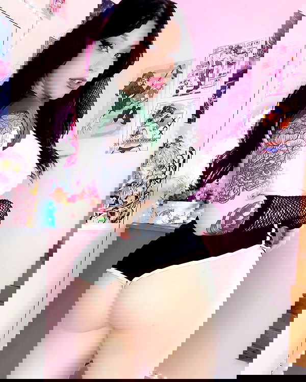 nixxi.cat nixxi.cat archive image