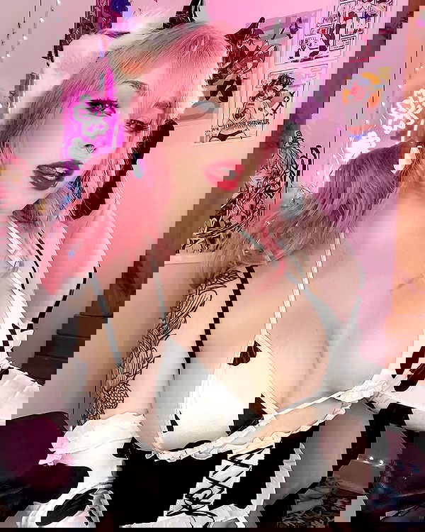 nixxi.cat nixxi.cat archive image