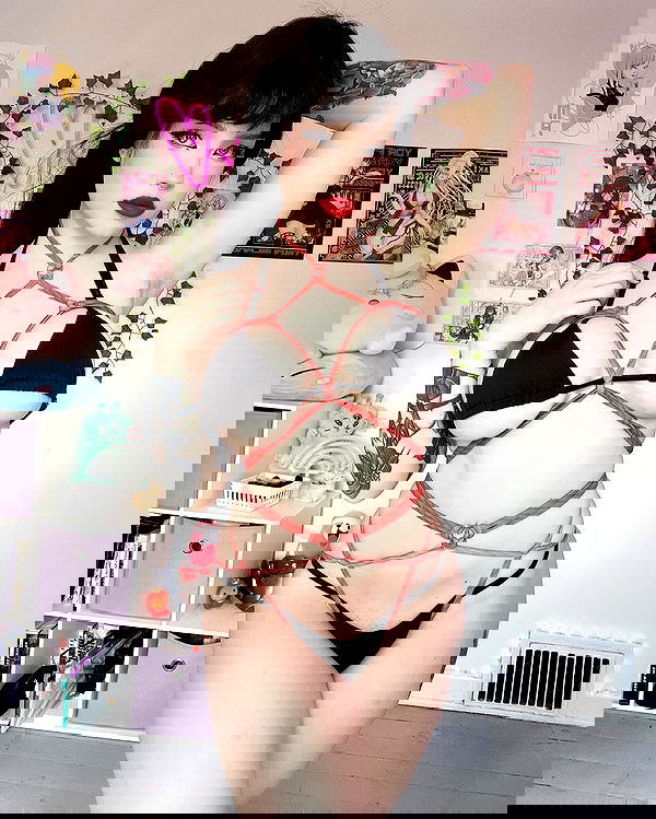 nixxi.cat nixxi.cat archive image