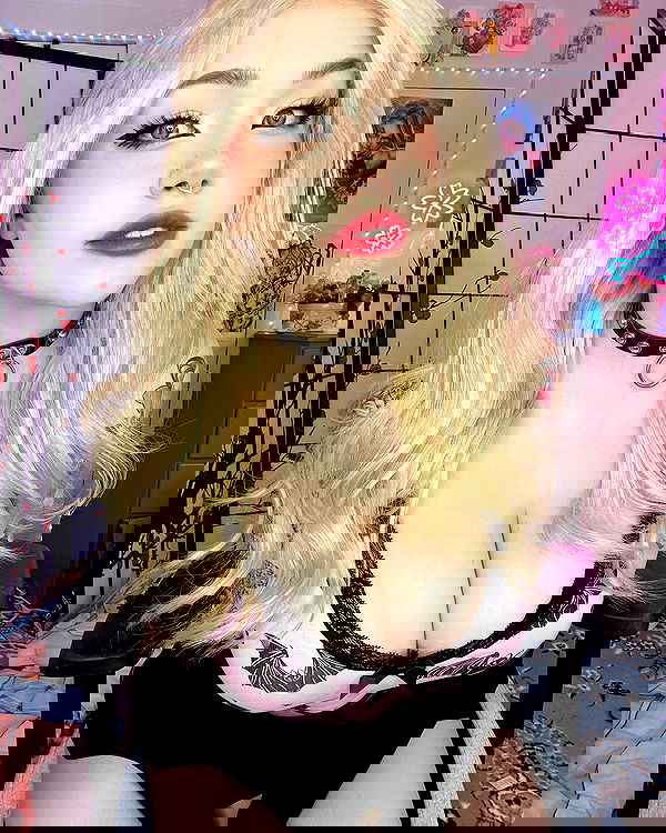 nixxi.cat nixxi.cat archive image