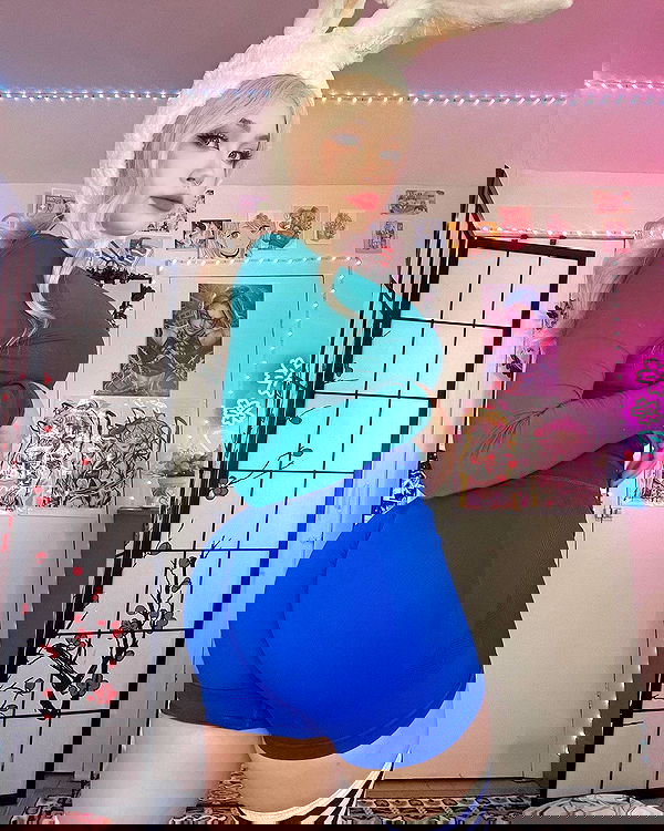 nixxi.cat nixxi.cat archive image