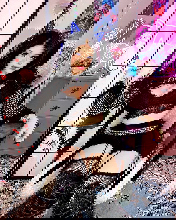 nixxi.cat nixxi.cat archive image