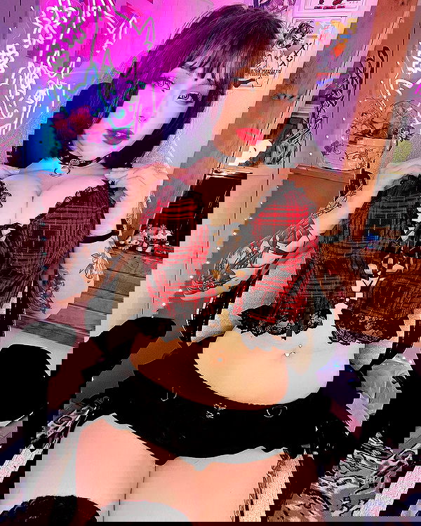 nixxi.cat nixxi.cat archive image