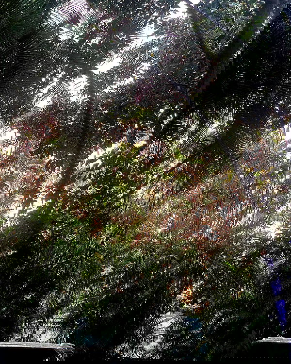 nixxi.cat nixxi.cat archive image