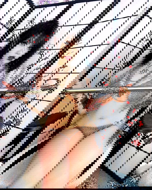 nixxi.cat nixxi.cat archive image