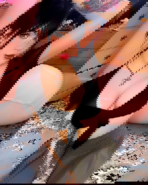 nixxi.cat nixxi.cat archive image