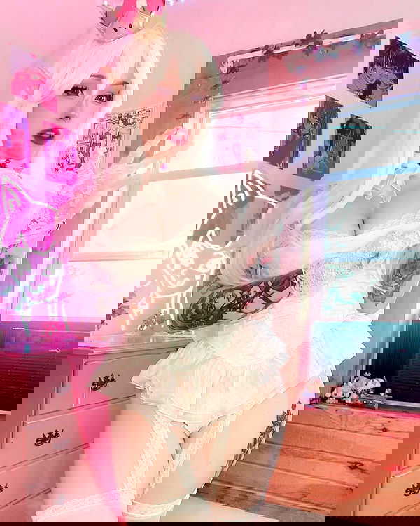 nixxi.cat nixxi.cat archive image