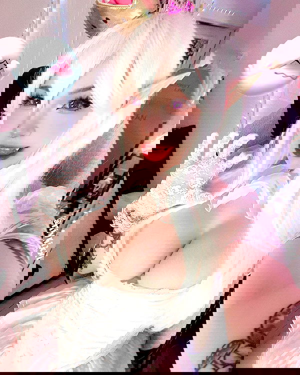 nixxi.cat nixxi.cat archive image