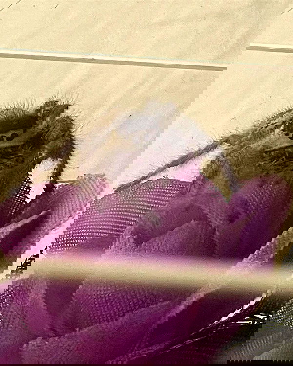 nixxi.cat nixxi.cat archive image