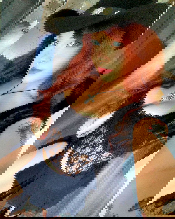 nixxi.cat nixxi.cat archive image